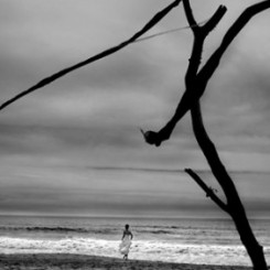 Best wedding photographers contest winner: Winter 2011