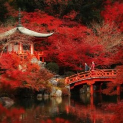 Best wedding photographers contest winner: Fall 2020