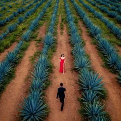 Best wedding photographers contest winner: Fall 2023