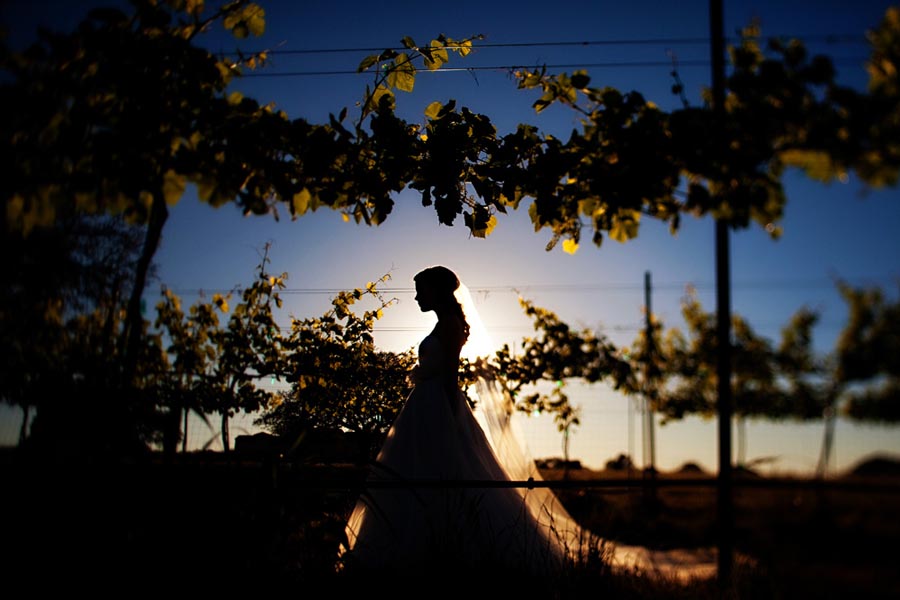Kathryn Krueger – ISPWP Photographer of the Quarter – Fall 2011