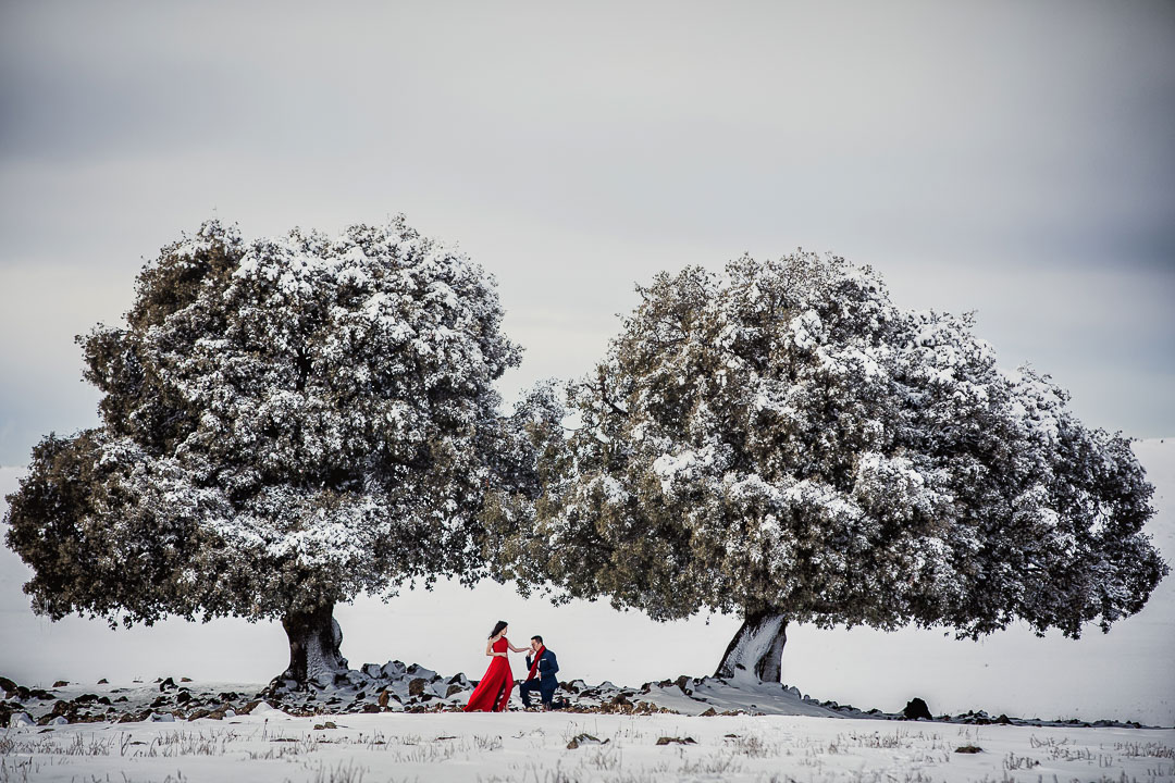 Cristiano Ostinelli – ISPWP Photographer of the Quarter – Winter 2017