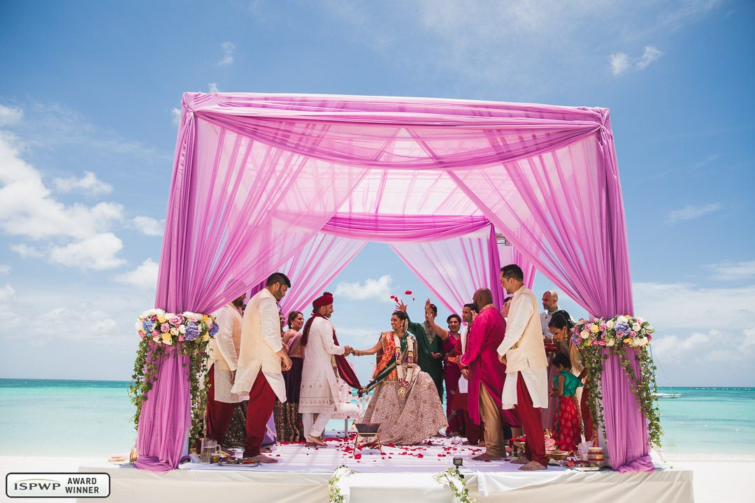San Francisco, California, United States Wedding Photographer - Drew Bird Photography