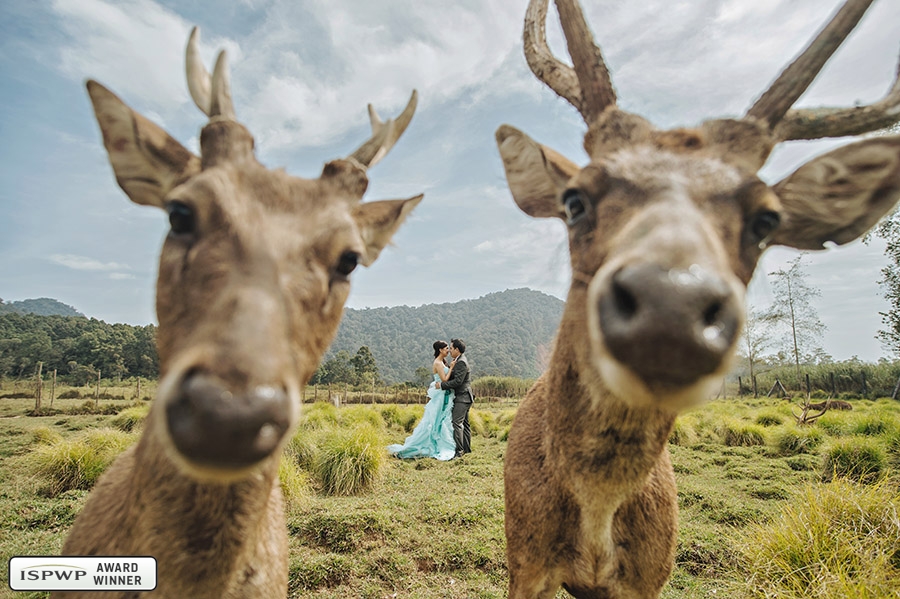 Best Wedding Photography of 2015 - ISPWP