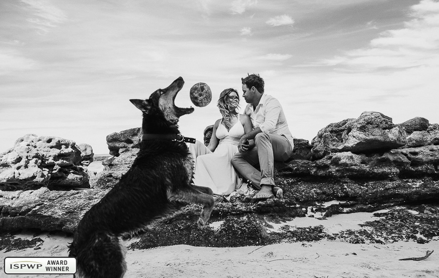 Best Wedding Photography of 2015 - ISPWP