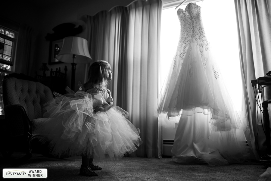 Best Wedding Photography of 2015 - ISPWP