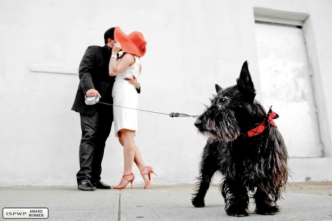 New York City, New York Wedding Photographer - Matthew Sowa Photography