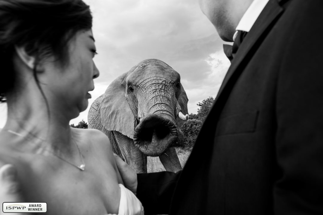 Daniel West | Daniel West | Johannesburg, South Africa wedding photographer