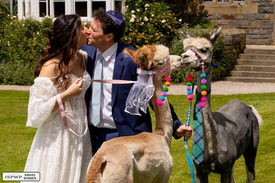 Bristol, United Kingdom Wedding Photographer - Martin Dabek Photography