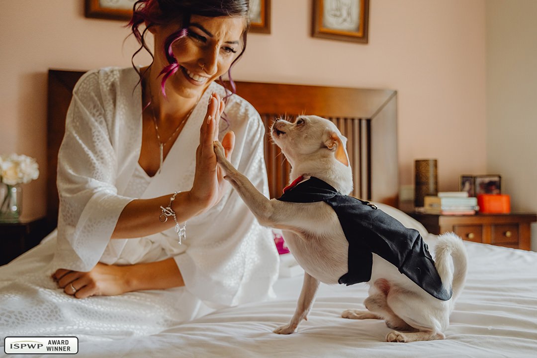 Benalmádena, Málaga, España Wedding Photographer - Jota Jota Palacios
