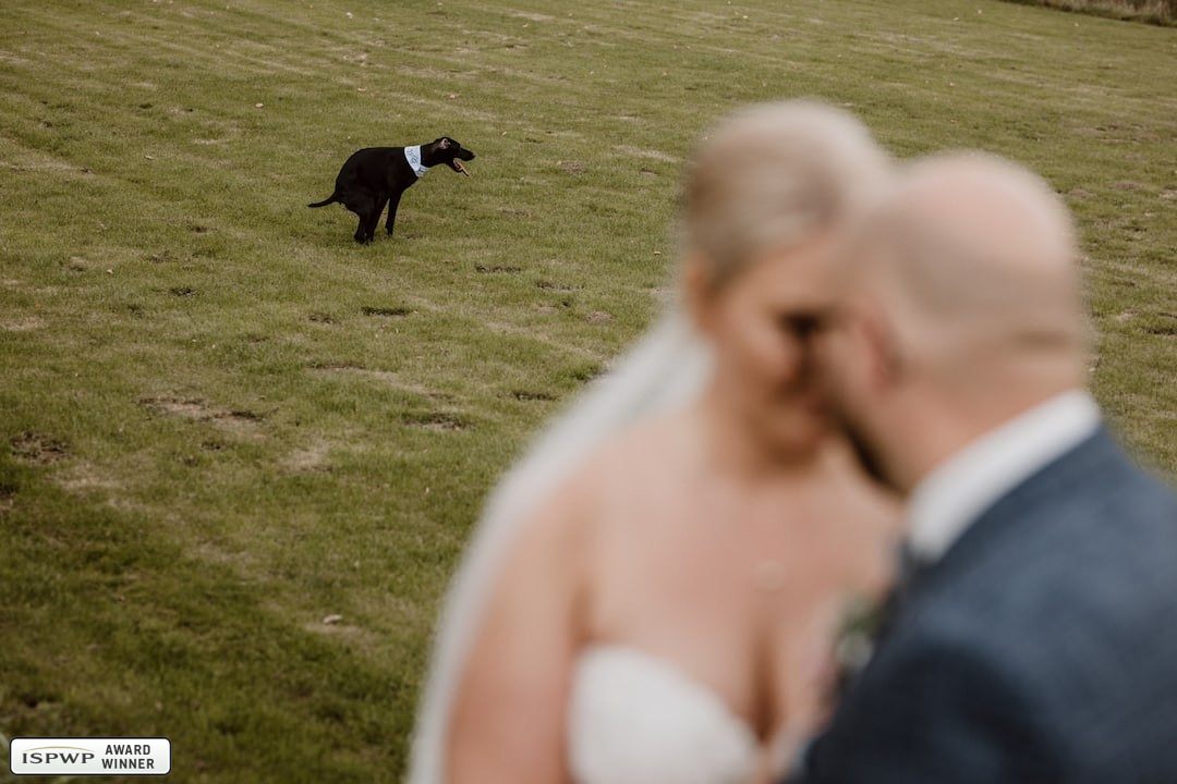 Cologne, Germany Wedding Photographer - Sven Hebbinghaus Fotografie