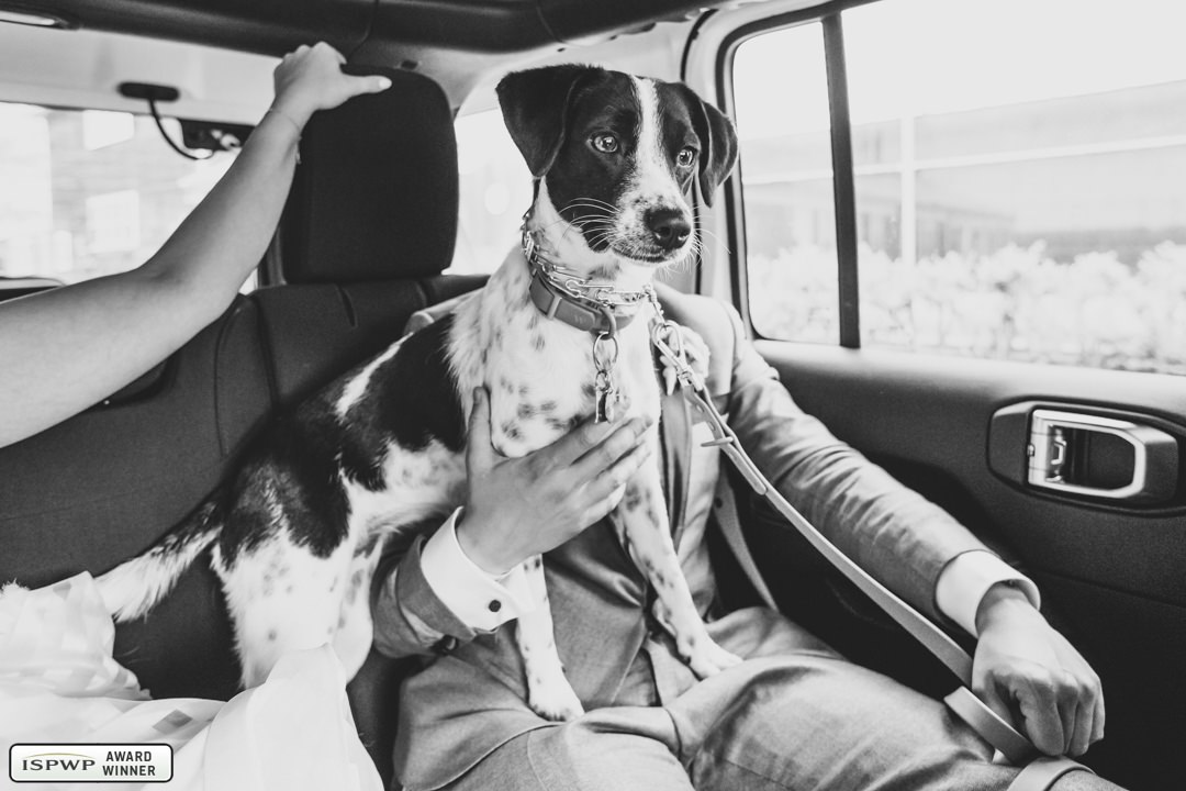 Nantucket Island, MA Wedding Photographer - Katie Kaizer Photography