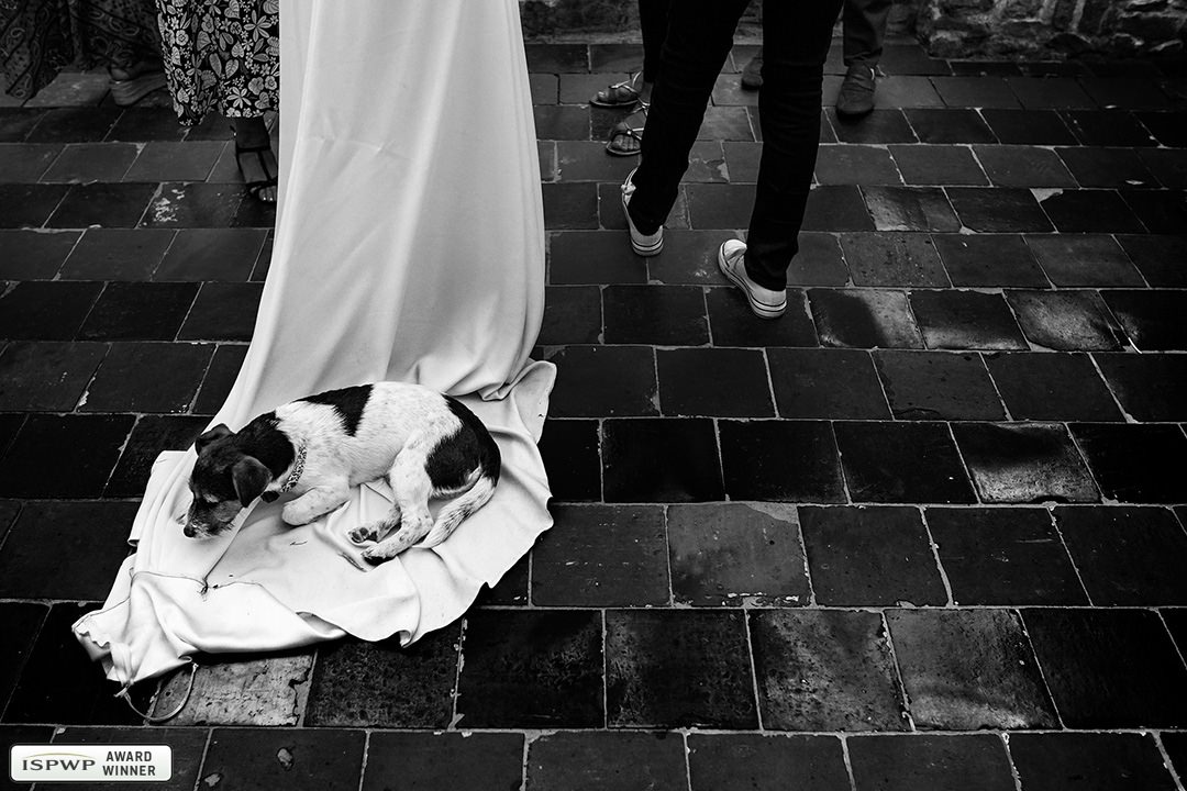 Arnaud Chapelle | Studio Arnaud Chapelle | Caen, France wedding photographer