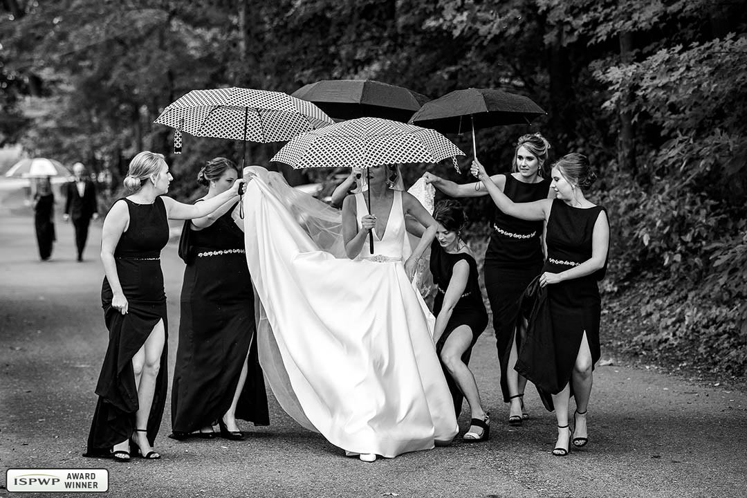 Chicago, Illinois Wedding Photographer - WS Photography
