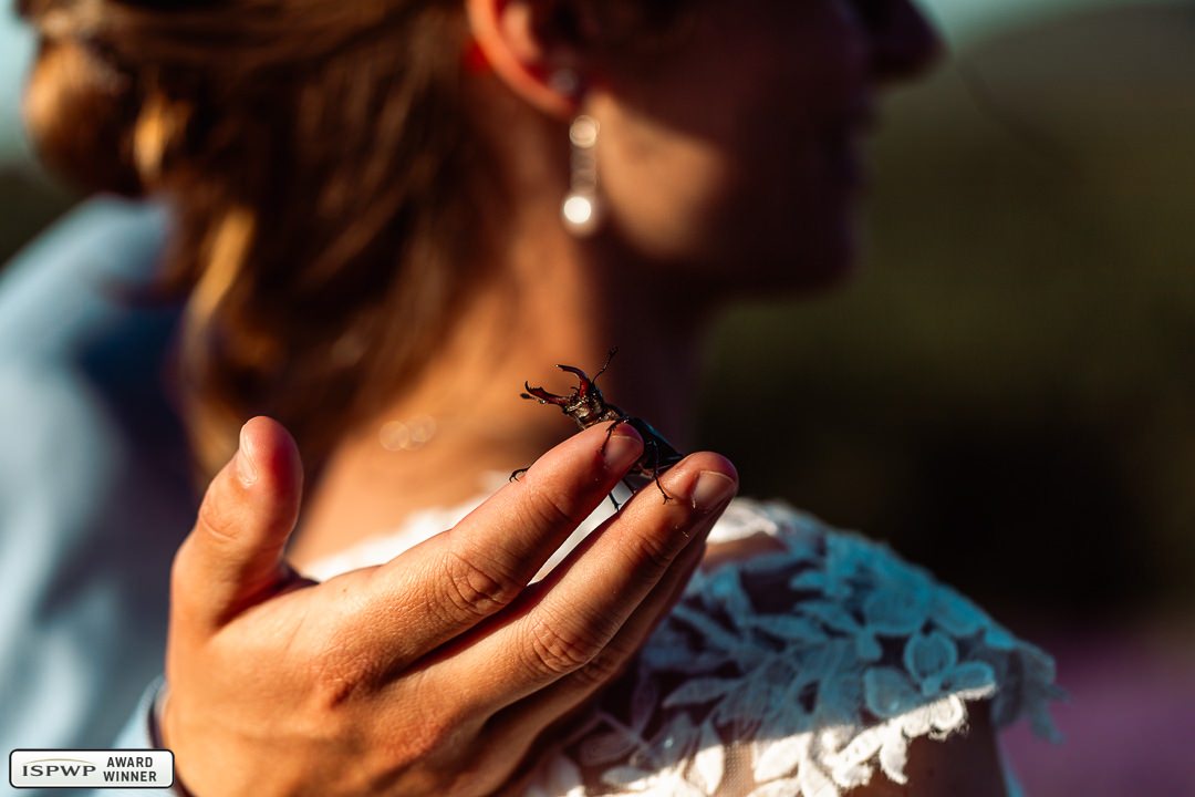 Lambesc, France Wedding Photographer - Sebastien Benduckieng