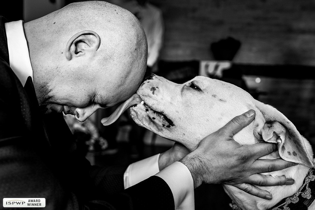 Bucharest, Romania Wedding Photographer - Gabriel Rose Lens