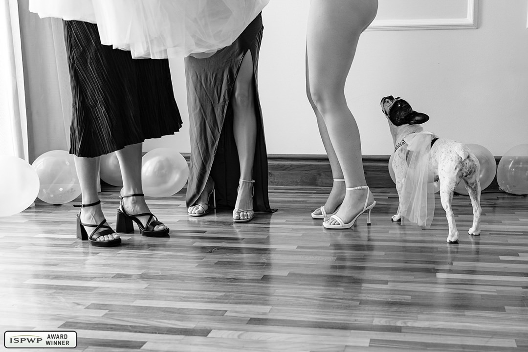 Varna, Bulgaria Wedding Photographer - Pavlina Aenska