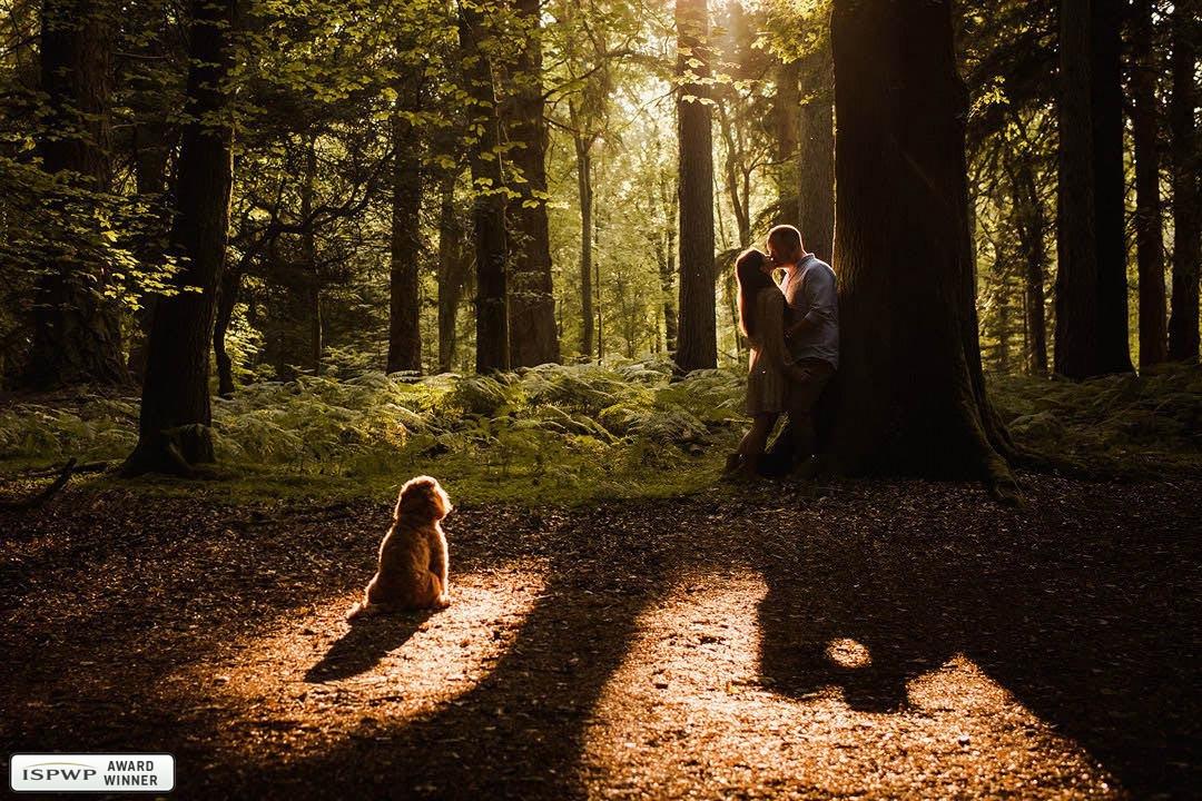 Wimborne, Dorset, UK Wedding Photographer - Robin Goodlad Photography 