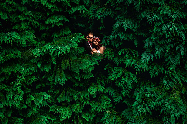 User's Profile Image