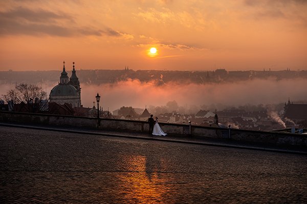 User's Profile Image