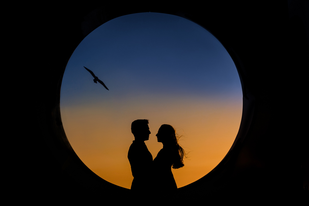 User's Profile Image