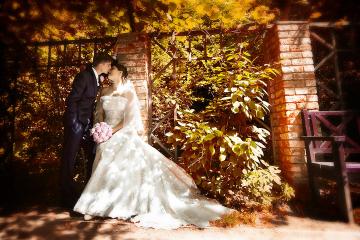 Wedding photographer review: Olga Leonova, Dubai UAE