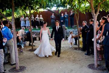 Wedding photographer review: Debra Zeller, San Francisco, California