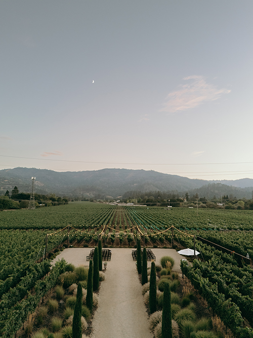 Sonoma County, California Wedding Photographer - Alison Renee Photography